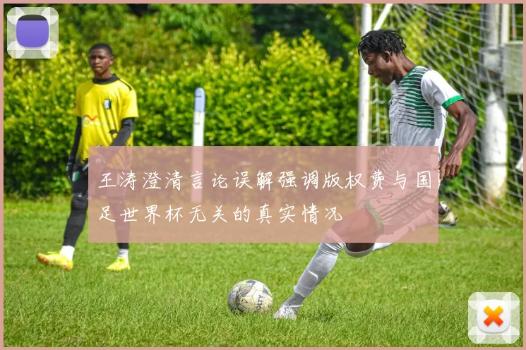 王涛澄清言论误解强调版权费与国足世界杯无关的真实情况
