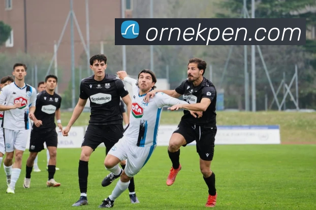milan米兰在线登录入口服务体系